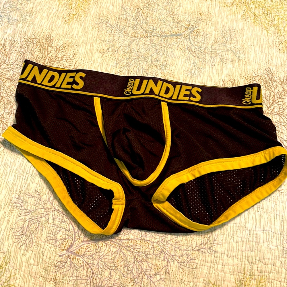 CheapUndies mesh trunk cut brief